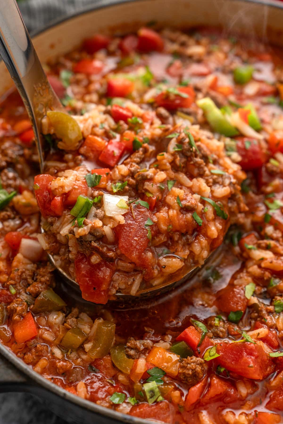 Stuffed Pepper Soup – The Cooking Jar